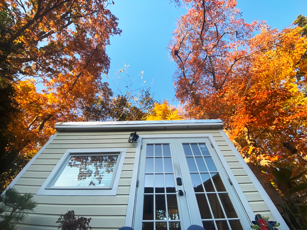 The front of my backyard studio in the fall.