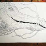 pen and ink drawing of a dragon's head